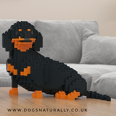 Dachshund (Sat) Jekca Available in 3 Colours & 2 Sizes